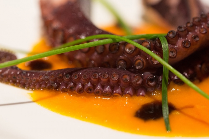 Modena con gusto | Scuola di Cucina di Modena, Corsi di cucina per ... Modena con gusto | Scuola di Cucina di Modena, Corsi di cucina per ...